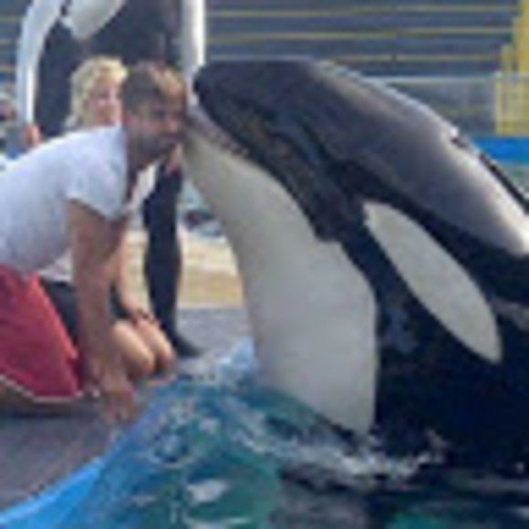 Meet your Posher, Bouzari - Picture 1 of 1